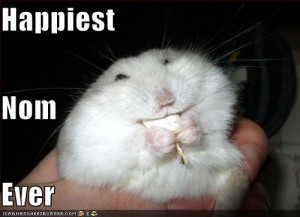 funny-pictures-hamster-has-the-happiest-nom-ever